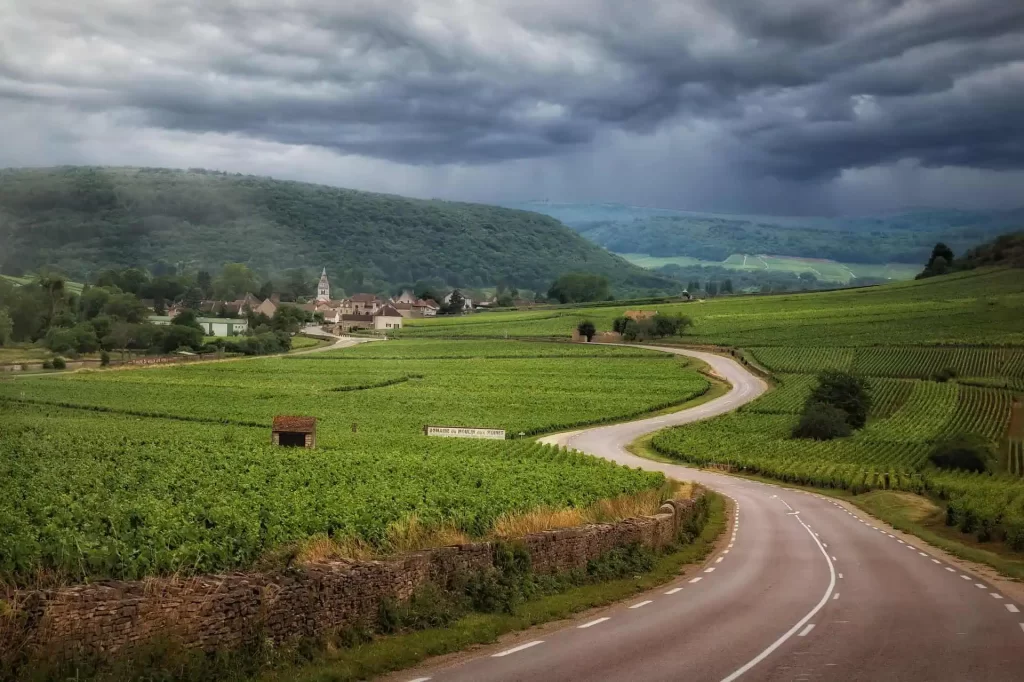 Autobahn durch die Weinberge in der Nähe von Bordeaux
